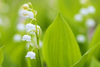 PvPvE恐怖射击砍杀游戏《HUNGER》Steam页面公布 发售日期待定